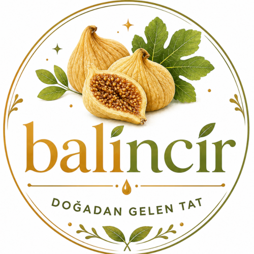 cropped-balincir-logo.png